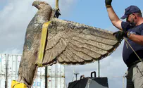 Uruguay nixes plan to eagle from Nazi cruiser into peace symbol