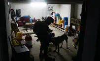 צה"ל מיפה את בית המחבלים ועצר 4 מבוקשים
