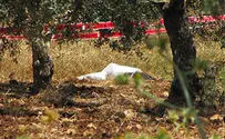 צילום: אתר פאנט רוצחיה של דפנה כרמון לא יקבלו משפט חוזר