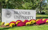 Brandeis University president resigns position