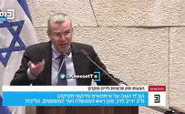 לוין למיכל שיר: "שרפו כבר רחובות, תנוחי"