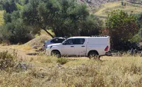 ניצול ציני: רכזי שב"כ התחזו לעובדי רווחה