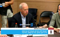 צילום: ערוץ כנסת השר גלנט: "מי שידבר איתנו בפרחים, יקבל בחזרה סוכריות"
