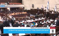 צילום: ערוץ כנסת עימות במליאה: ואטורי נגד יועמ''שית הכנסת