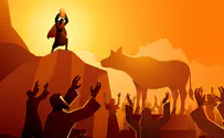What the golden calf forces us to appreciate