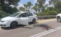 Угрожающие события возле Неве Цуф 