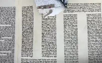 ספר התורה נאכל על ידי עכבר? "שפל חדש של עורבא פרח"