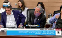 צילום: ערוץ כנסת ח"כ שטרן על החקיקה: "פוגרום"; רוטמן נאנח
