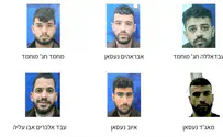 ШАБАК арестовал террористическую ячейку в Самарии