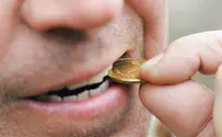 Unmasking the Illusion: The Truth About Fake Gold
