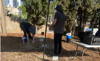 קבר נוסף נפתח במסגרת פרשת ילדי תימן