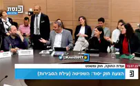 צחוקים בוועדת חוקה
