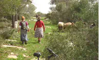 אצא לי אל היער        