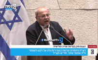 צילום: ערוץ כנסת "את כהניסטית, תתחילי לנאום בגרמנית כאן"