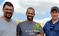 חבריו של אלראי קפאח ממשיכים לנטוע