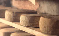 איטלקי נקבר למוות מתחת לגבינות פרמז'ן