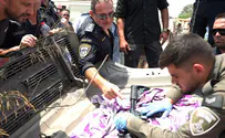 Police conduct massive operation to uncover illegal arms