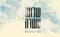 לקראת הימים הנוראים: קובי גרינבוים - "13"