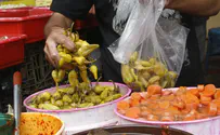 ירקות מוחמצים שלא כדאי להחמיץ