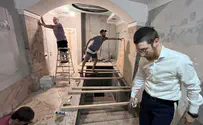 הרגעים של השבוע - לפרשת כי תצא
