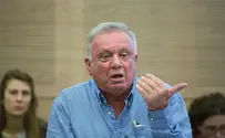 פרס מפעל חיים יוענק לאיתן ברושי
