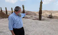 שלמה נאמן: כך נבנית עיר בלתי חוקית