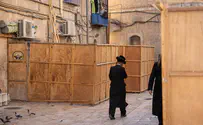 מכת העכברים מאיימת על ישיבה בסוכה