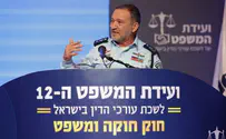 המפכ"ל: שבעה מיליון הפגינו נגד הרפורמה