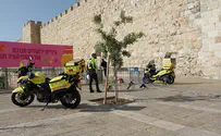 מגיח ודוקר: תיעוד הפיגוע בשער יפו