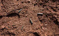 Dozens of bullet casings found after attempted shooting attacks