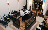 Leading Rabbis against use of Holocaust in foreign propaganda