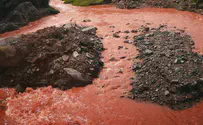 'River of wine' floods Portuguese village