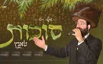 צילום: יהושע פרוכטר פספסתם? כל השירים שיצאו השבוע במוזיקה החסידית