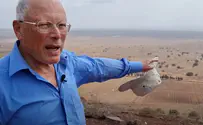הכוח הקטן שהדף את האויב