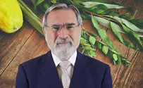 Insights for Sukkot