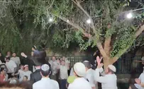 Hasidic rebbe dances in Revava