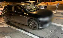 Police lightly injured while foiling attempted car theft