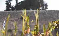 2-year-old undergoes surgery after being poked in eye with lulav