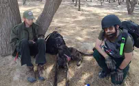 From Monsey to the Gaza border