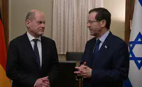 German Chancellor opposes 'immediate' ceasefire in Gaza