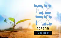 פרוייקט 'צמאה' מציג: 'הרנינו' בעיבוד חדש