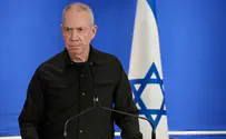 'Nearing breaking point in Gaza; surrender and be spared'