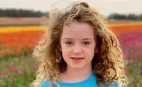 צילום: באדיבות המשפחה טעות בזיהוי: אמילי בת ה-8 לא נרצחה אלא נחטפה לעזה