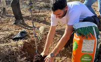 60 עצי זית לזכרו והנצחתו של סג"מ פדיה מרק