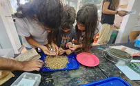 New initiative provides relief from war, while preserving nature