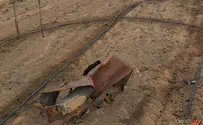Farm in southern Israel loses hundreds of tons of produce