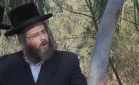 המונים ליוו למנוחות את החסיד הישיש מבעלז
