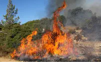 דליקת ענק משתוללת בגולן ליד כפר-חרוב