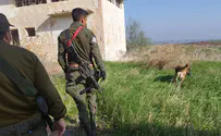 Israel Dog Unit raises alert status in northern Israel