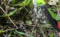 IDF troops eliminate knife-wielding terrorist near Shechem